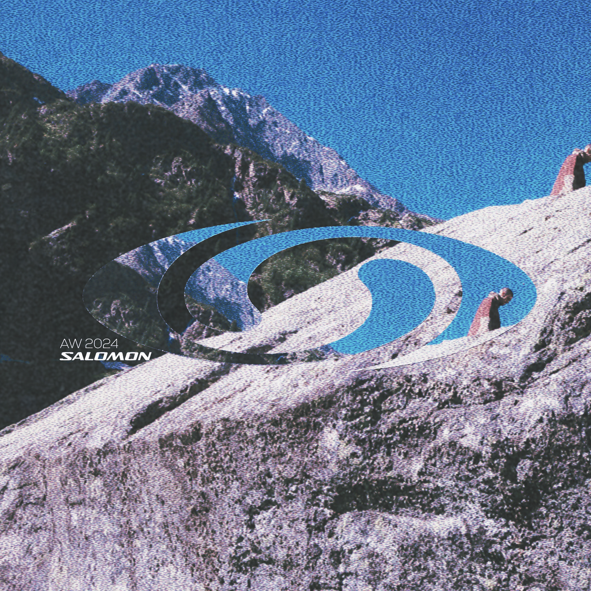 Salomon Editorial Cover